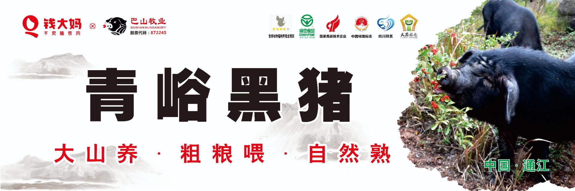 8月19日，青峪黑豬肉 正式在“錢(qián)大媽”重慶市場(chǎng)開(kāi)賣(mài)