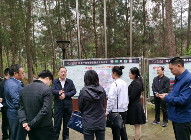 通江縣副縣長(zhǎng)萬(wàn)學(xué)成一行調(diào)研青峪豬加工生產(chǎn)情況