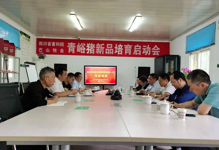 四川省畜科院與巴山牧業(yè)青峪豬新品培育啟動(dòng)會(huì)